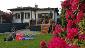 Haus Ceddy Diemelsee